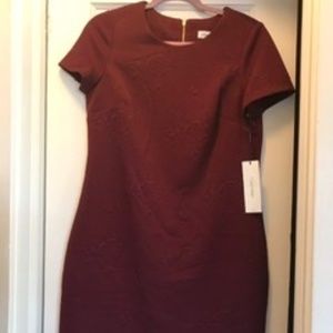 Calvin Klein Dress